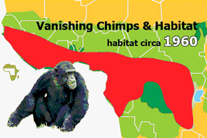 shrinking chimp habitat.gif