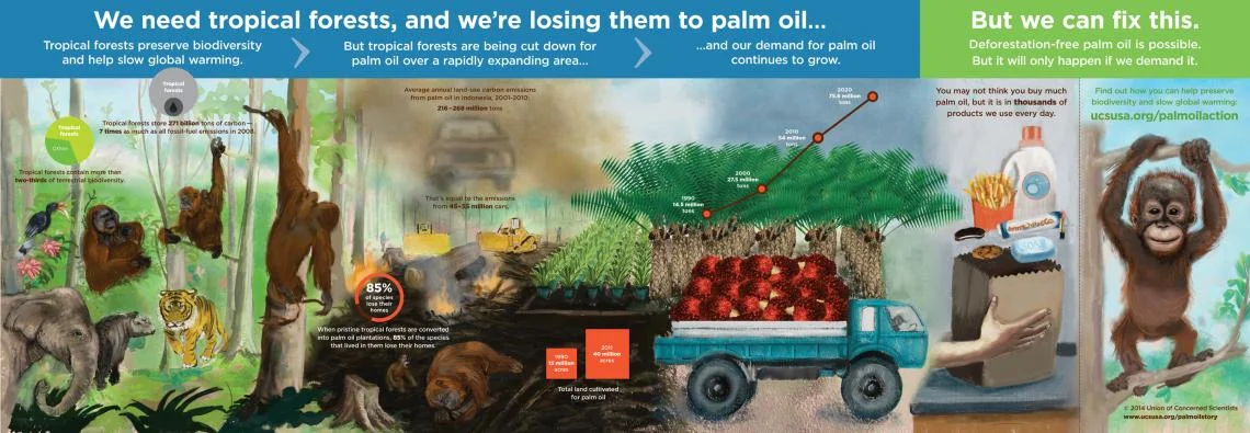 UCS infographic.jpg
