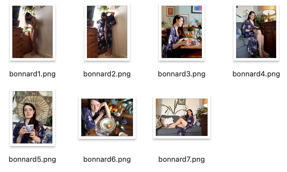 Bonnard screenshots.png