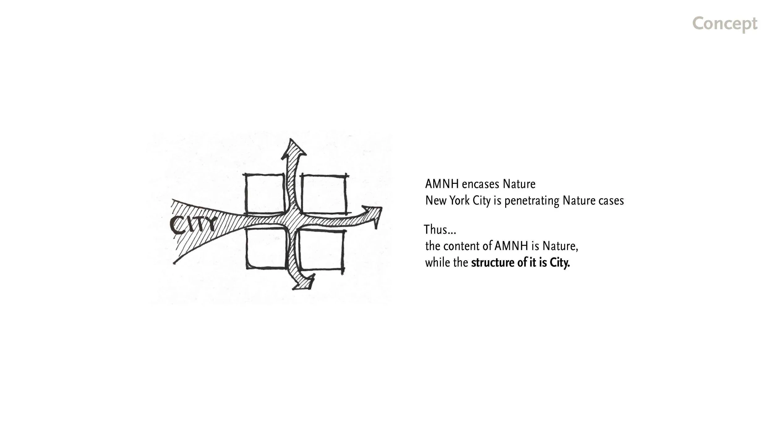 190519 AMNH Final Presentation_Page_07.jpg