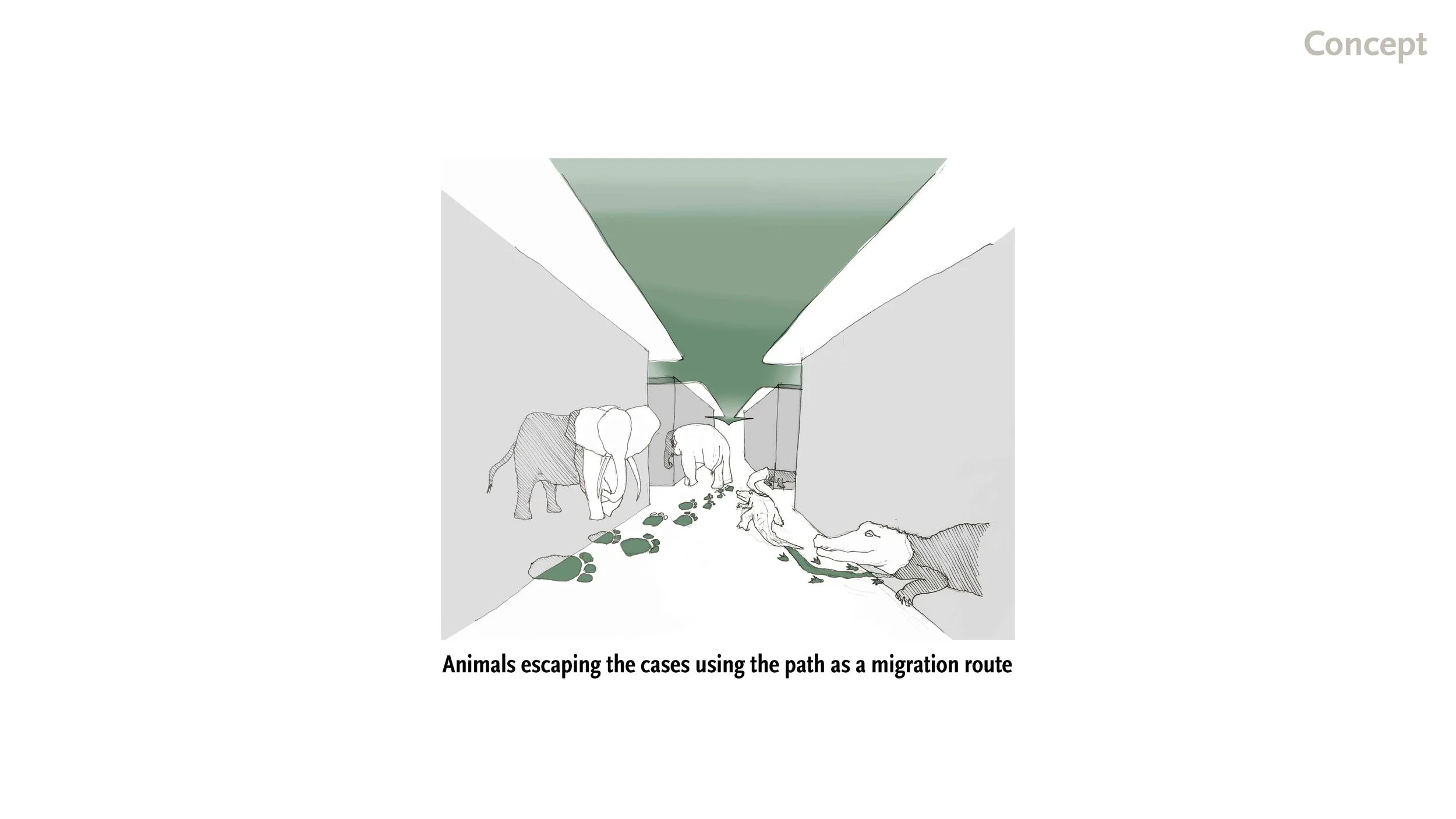 190519 AMNH Final Presentation_Page_14.jpg