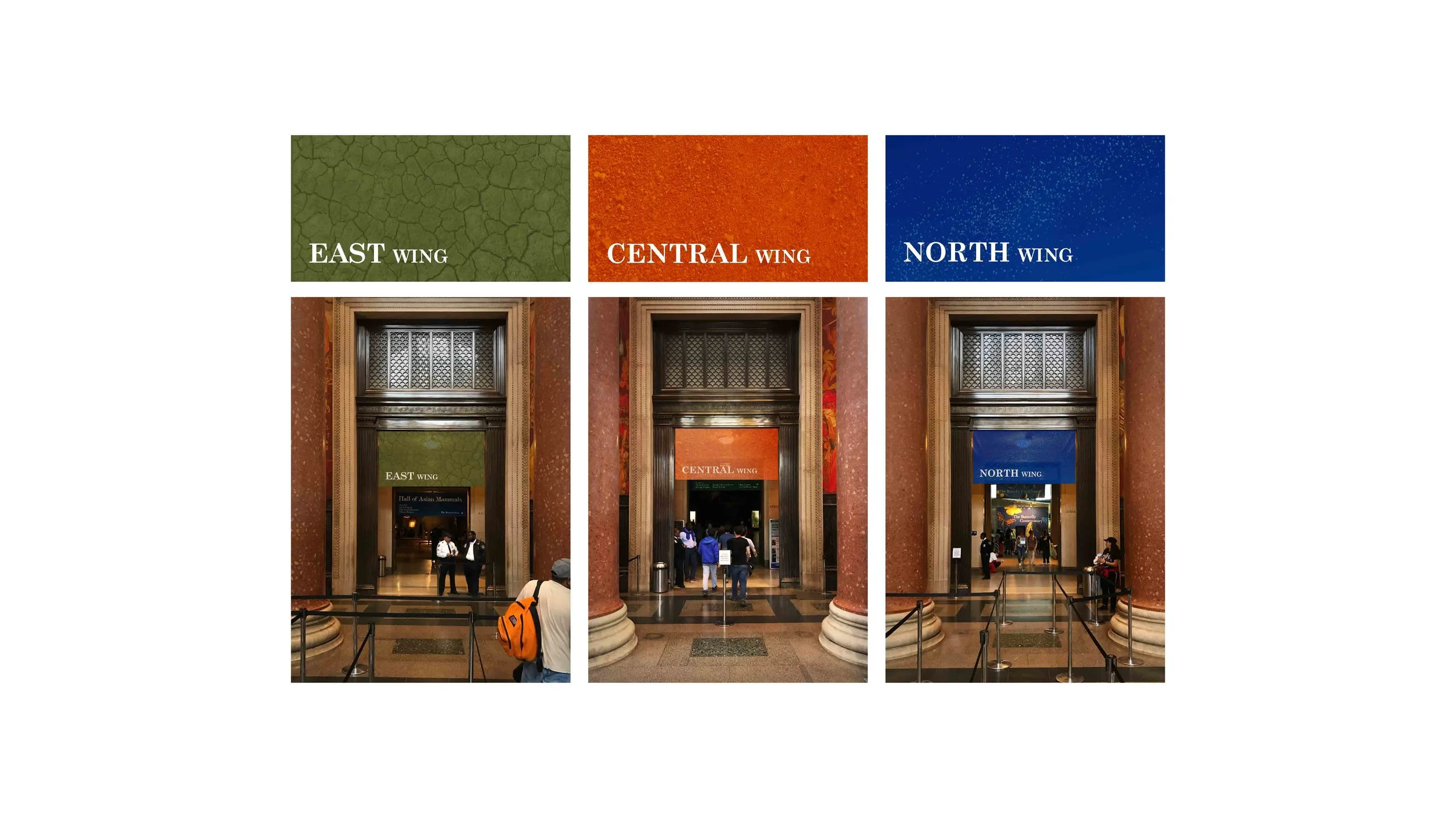 190519 AMNH Final Presentation_Page_28.jpg