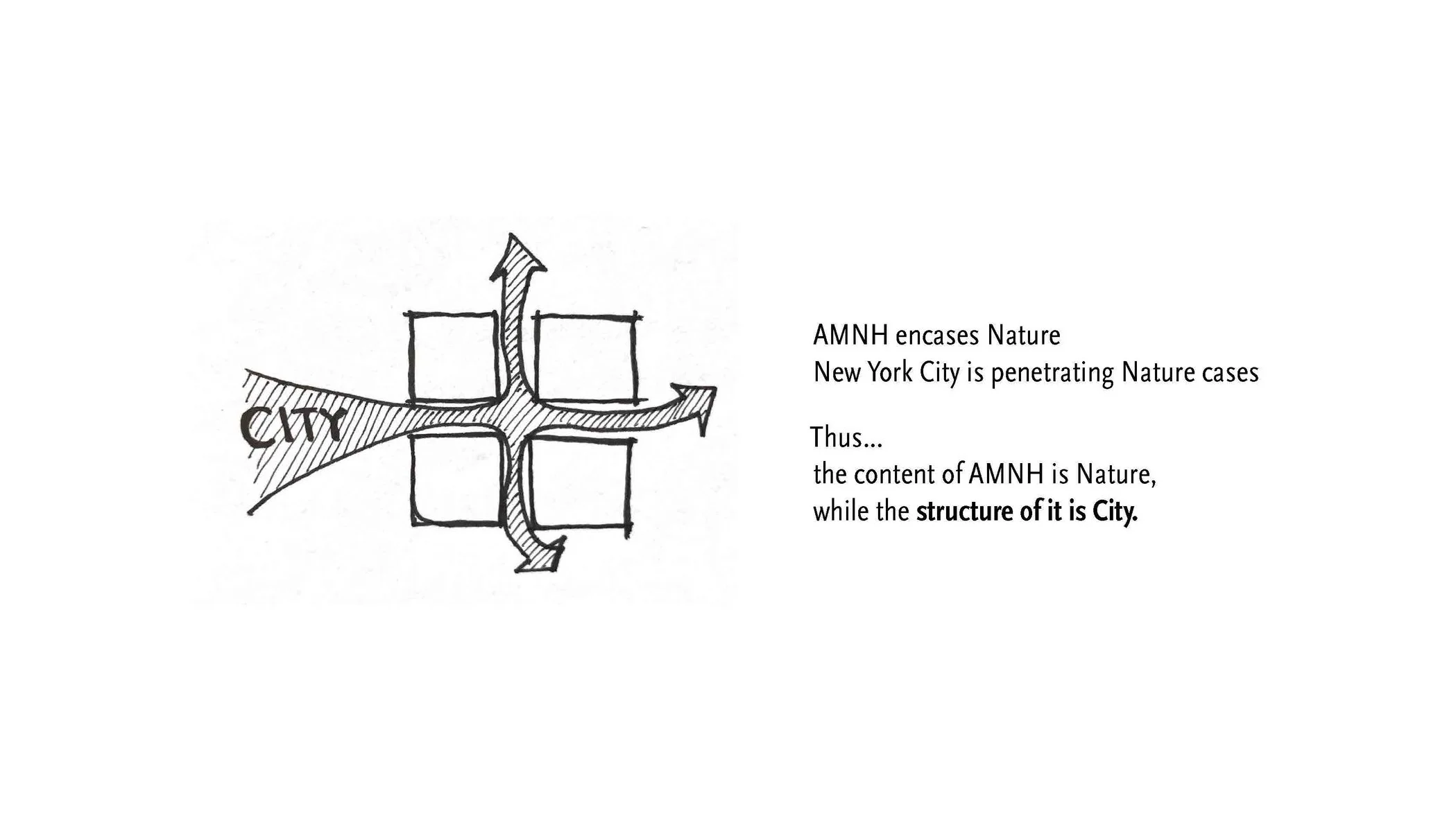 190519 AMNH Final Presentation_Page_07.jpg