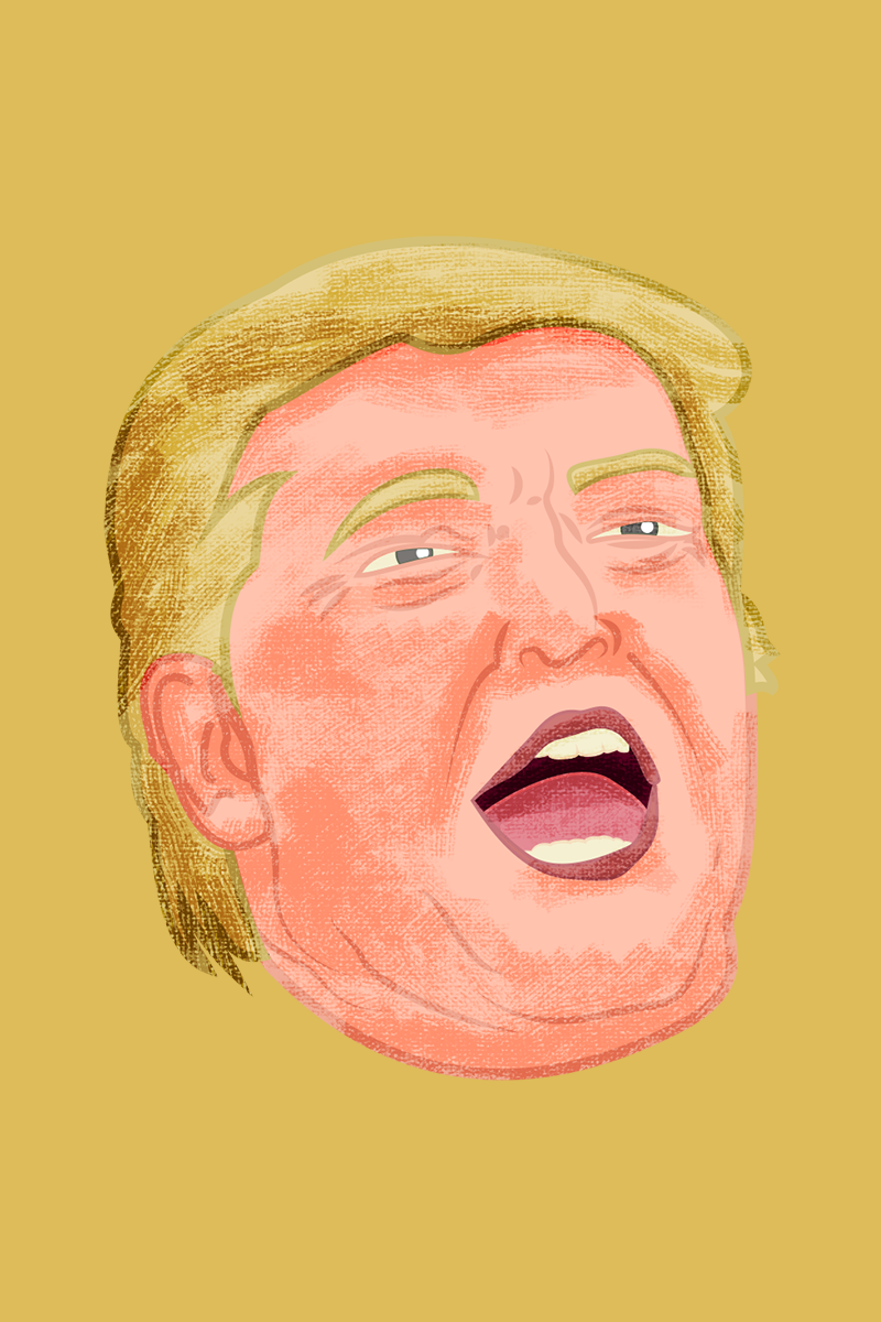 trump 800x1200.png