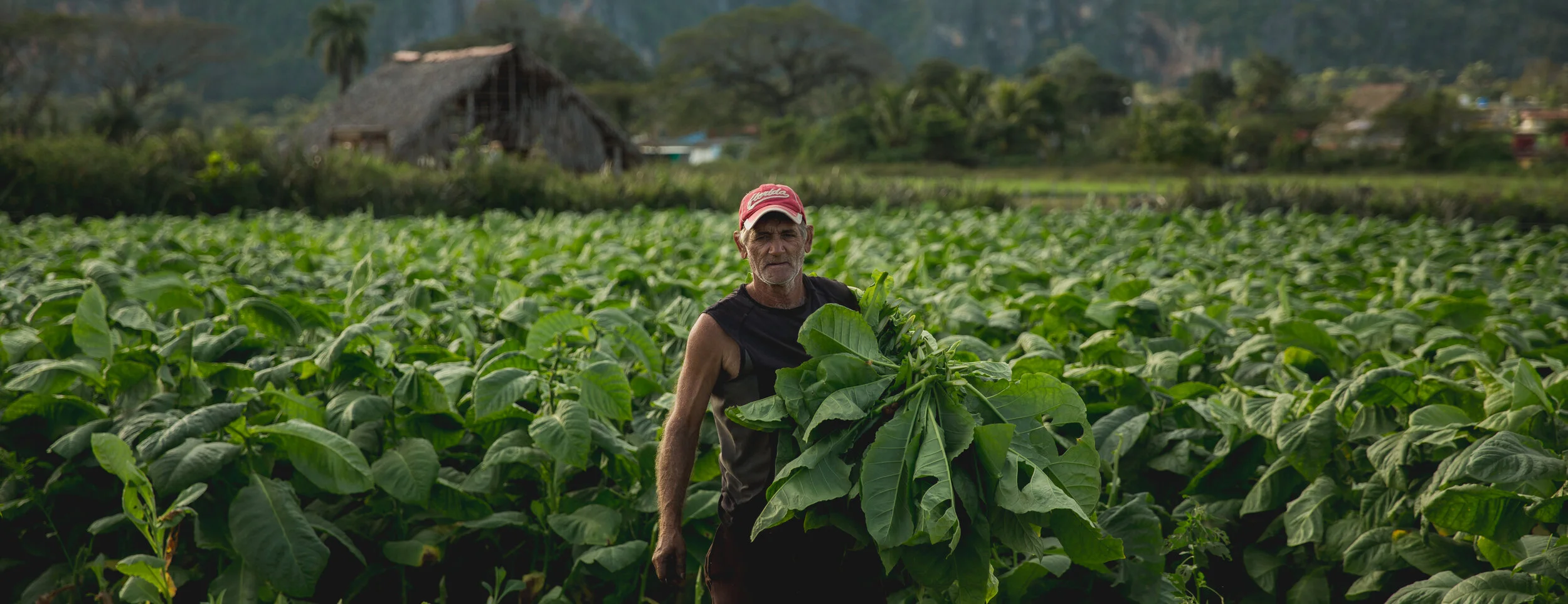 untitled (1 of 1)-10.jpg