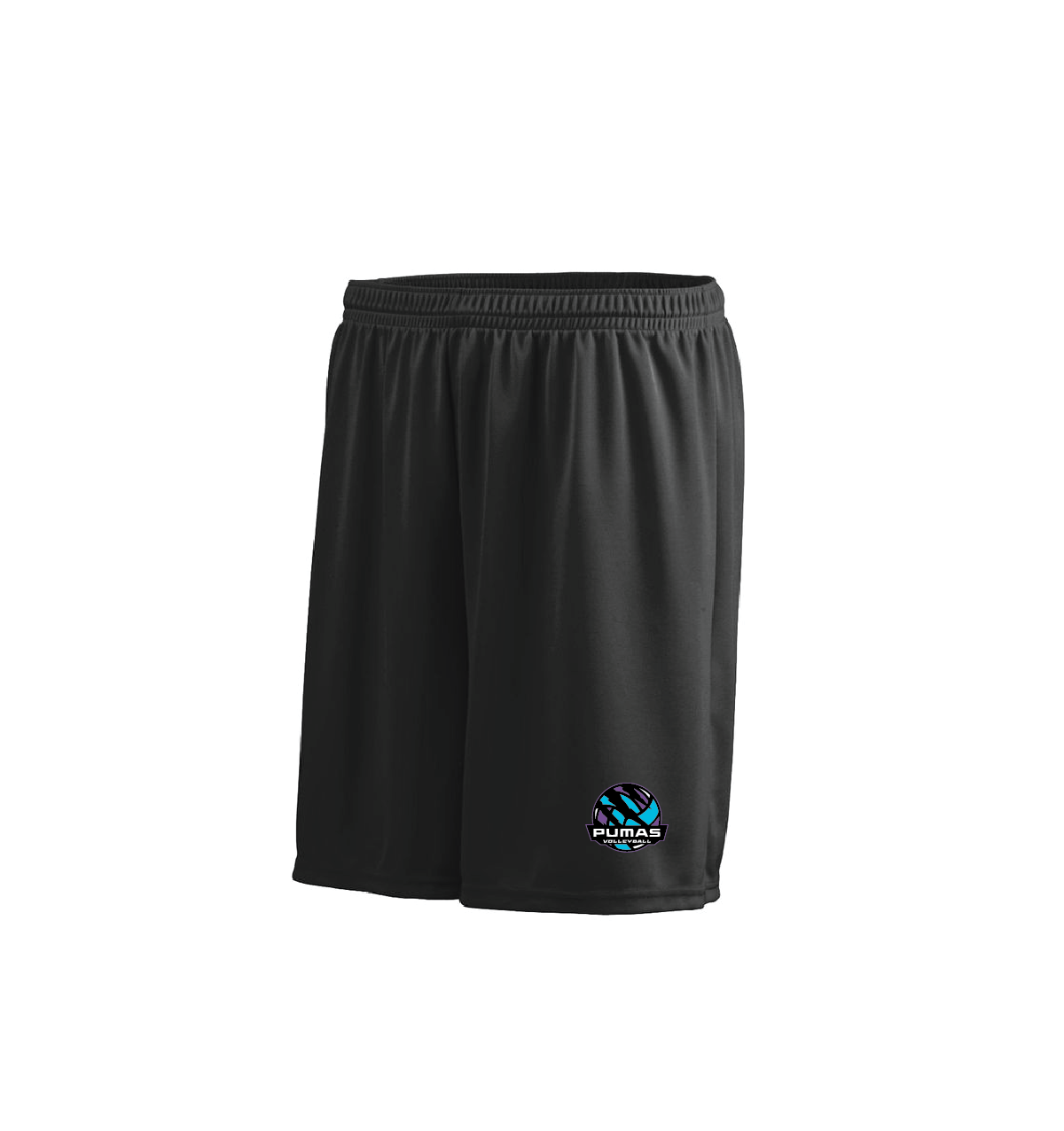 Polyester 7'' Shorts (Pumas)