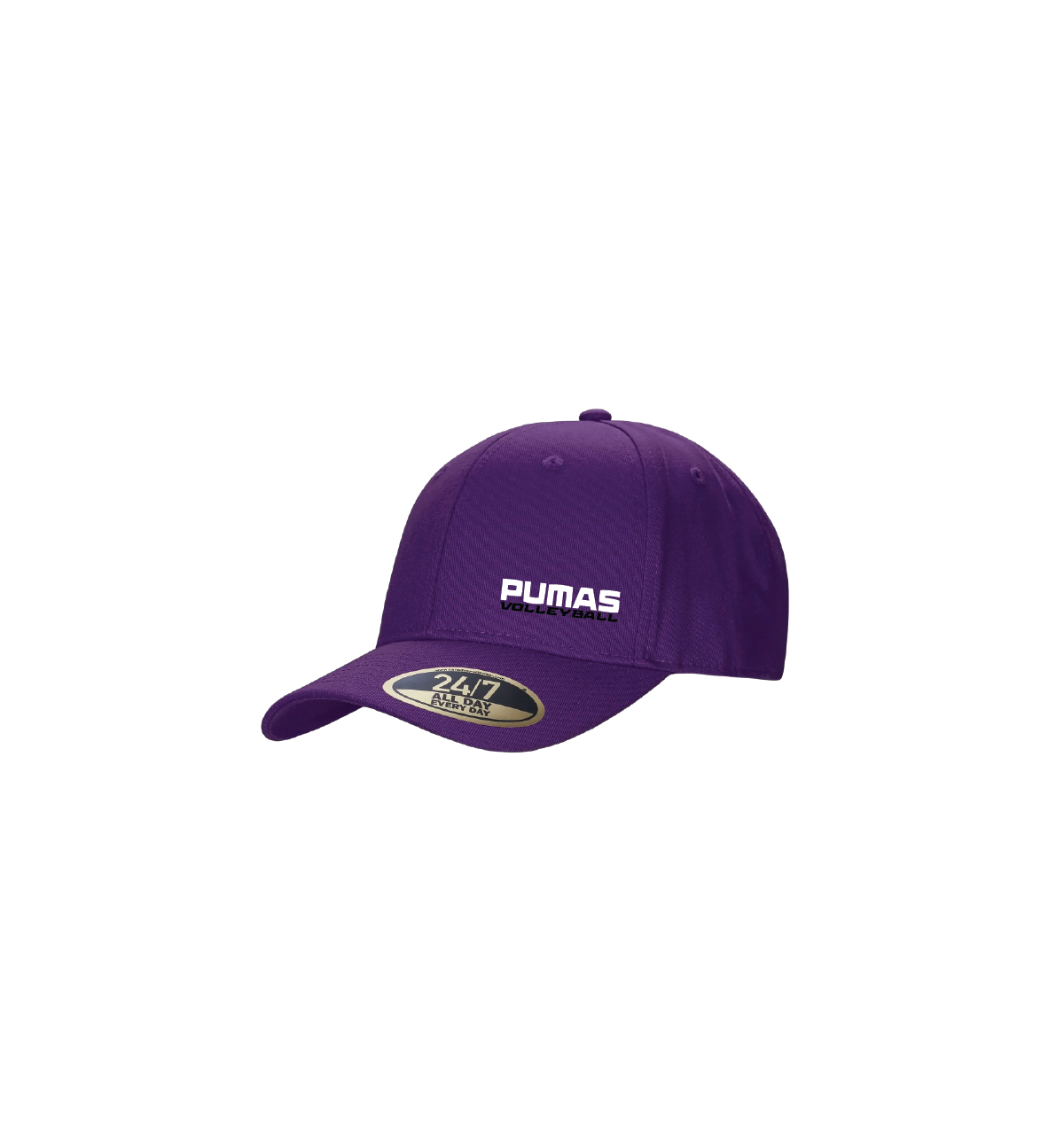 cap cx2 - purple.png