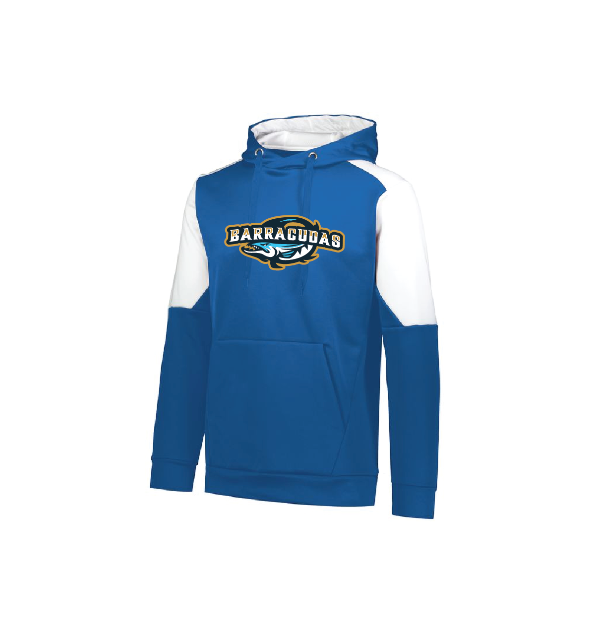 hoodie augusta.png