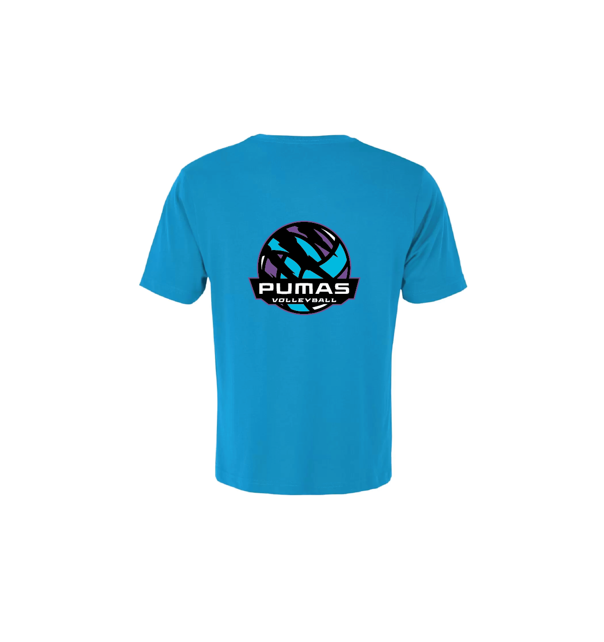 T-SHIRT SAPPHIR-BACK.png