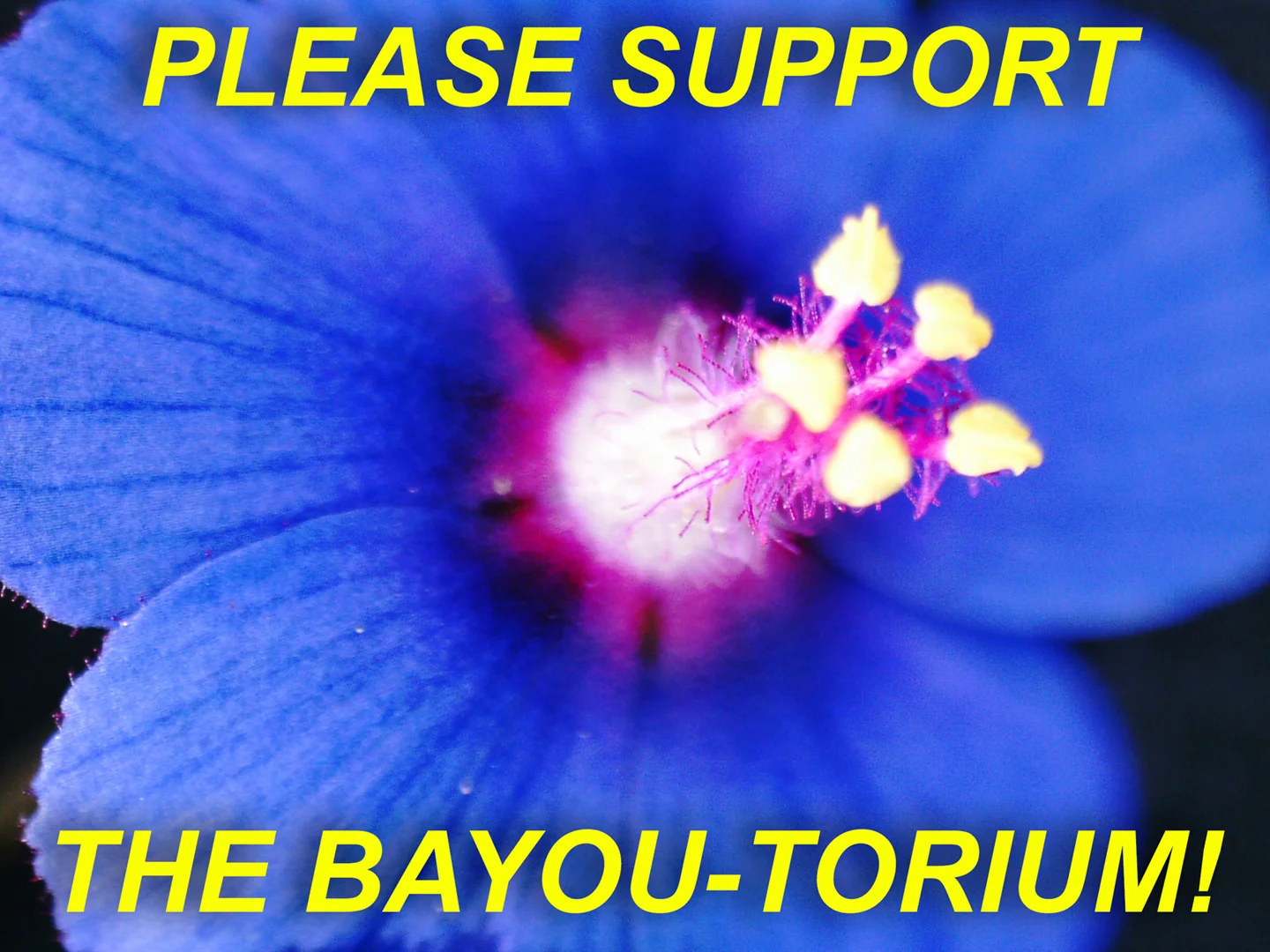 PLEASE-004.jpg