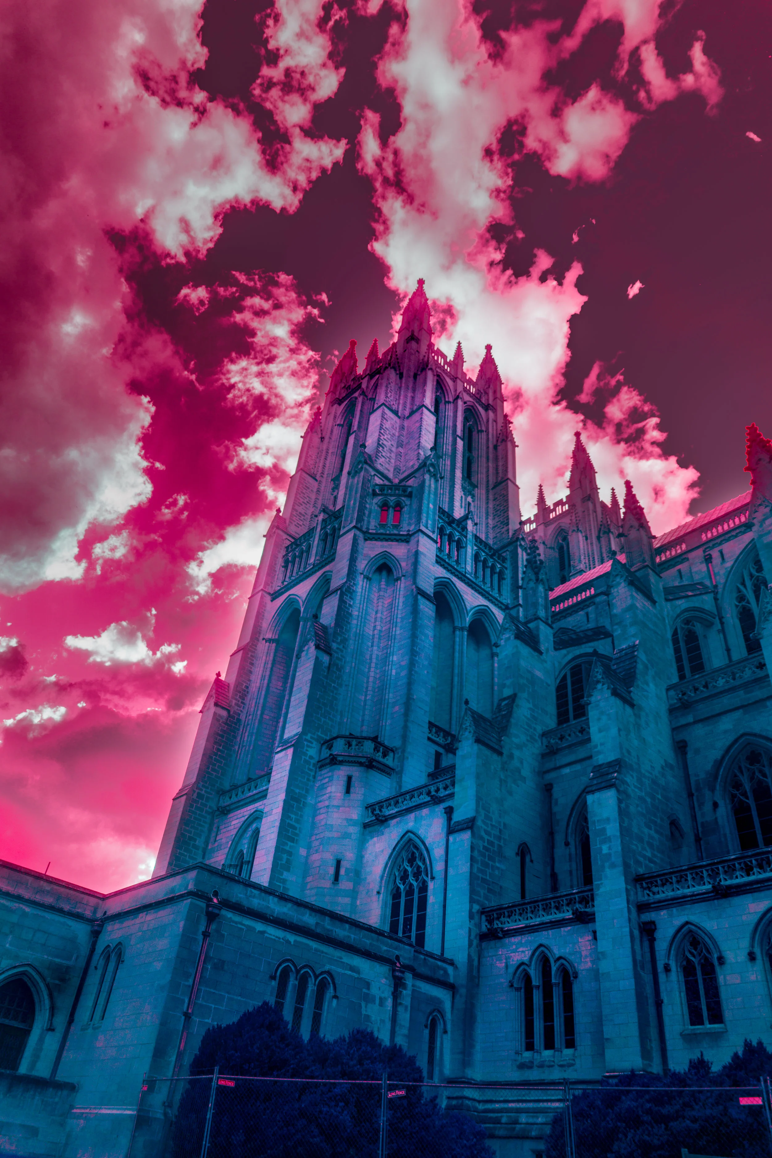 DSC04689-Edit.jpg