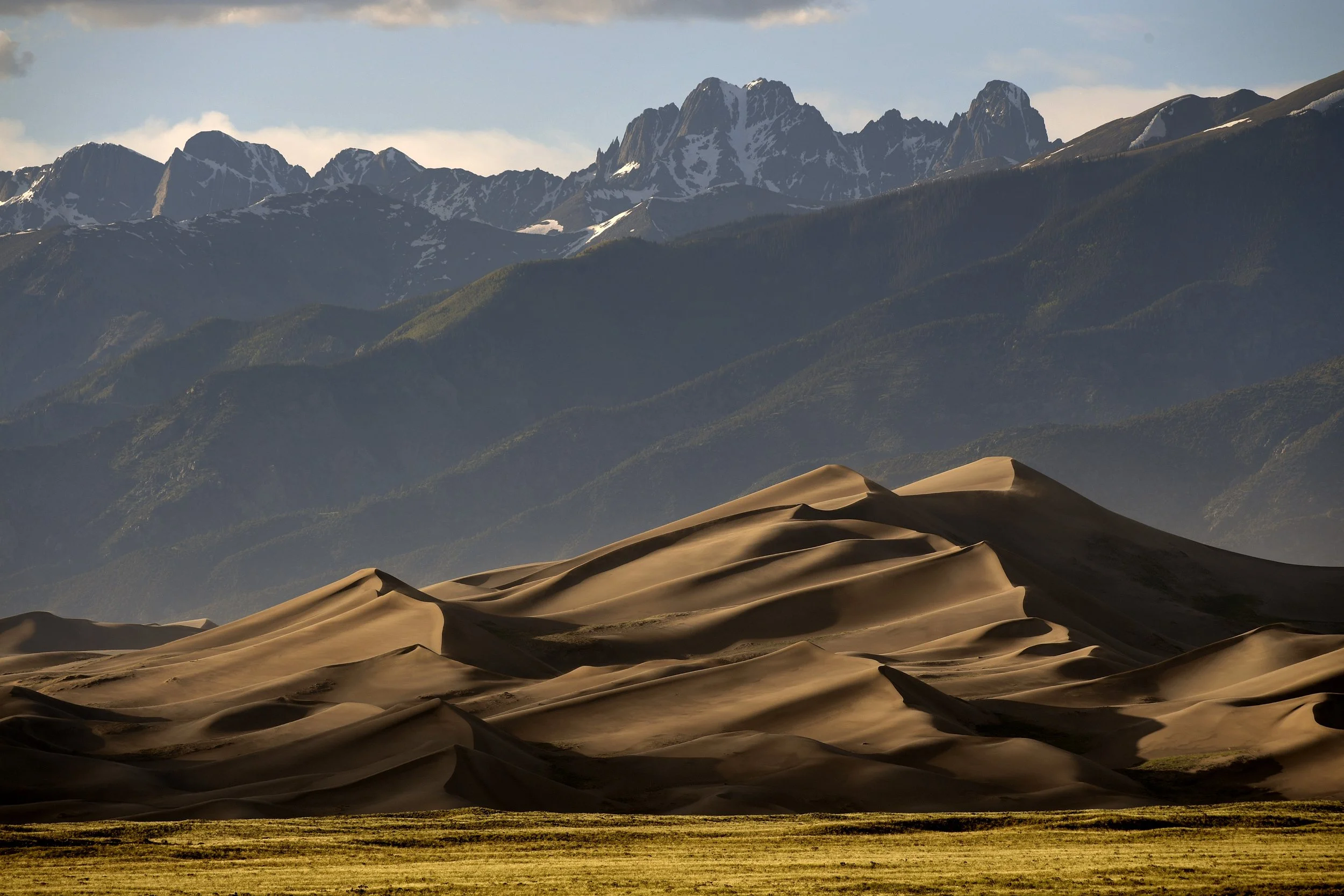 The Ecology of Sand Dunes