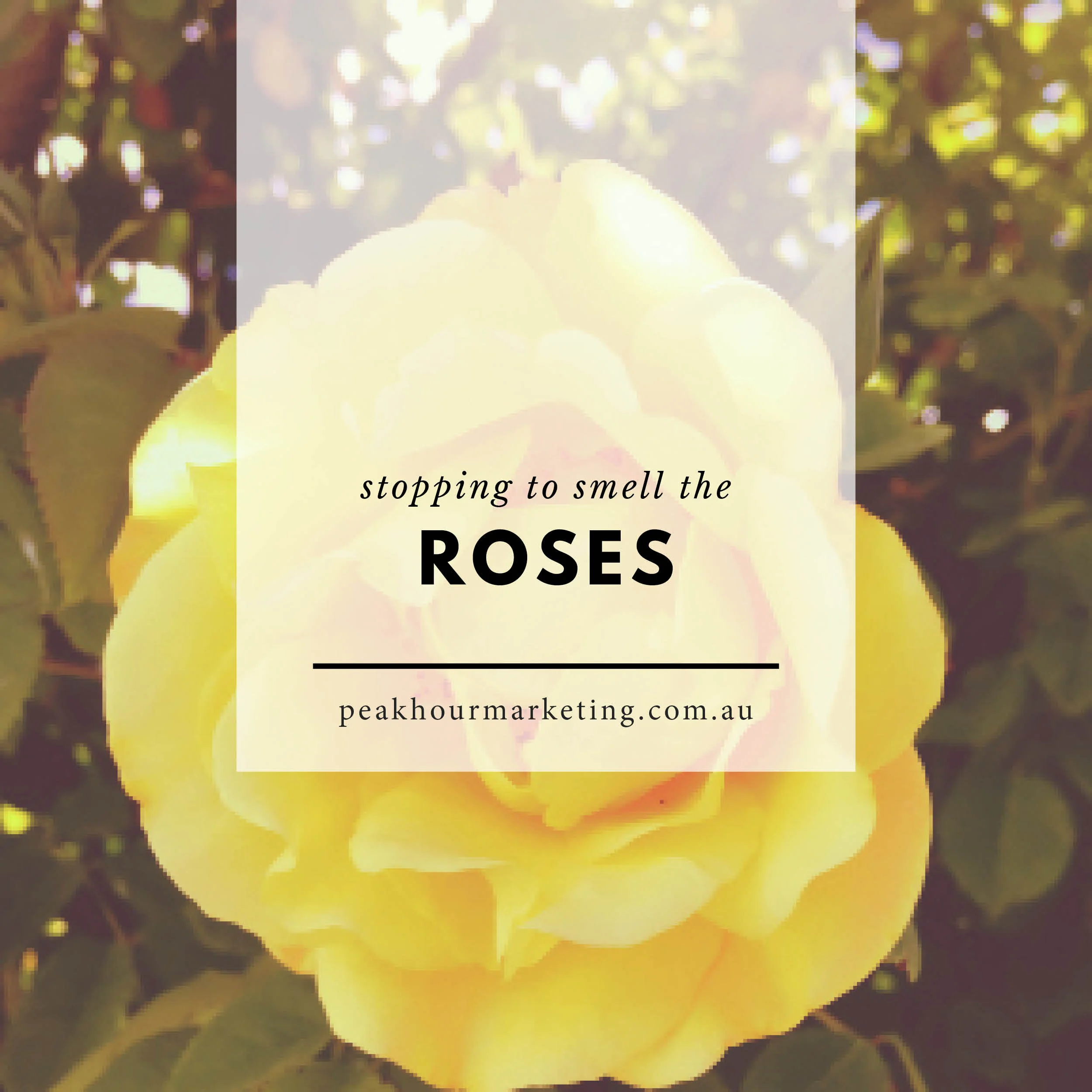 Stopping to Smell the Roses