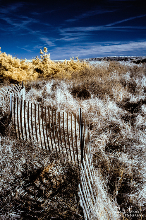 Dune Fence