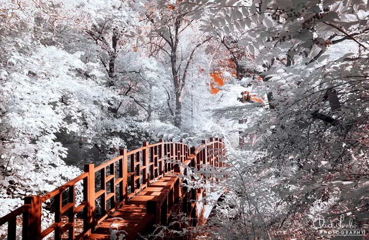Lake Trail Bridge