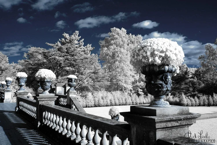 Phipps Mansion Terrace 1