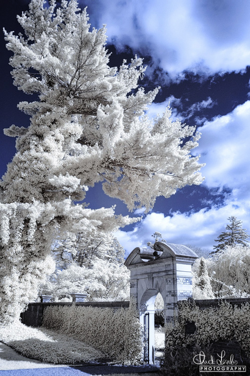 DSC_1520 - E.jpg