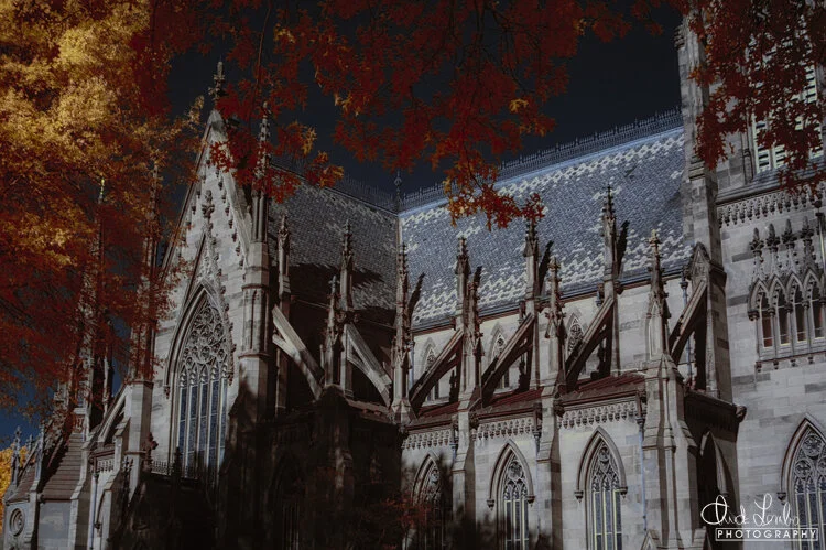 The Cathedral in Autumn
