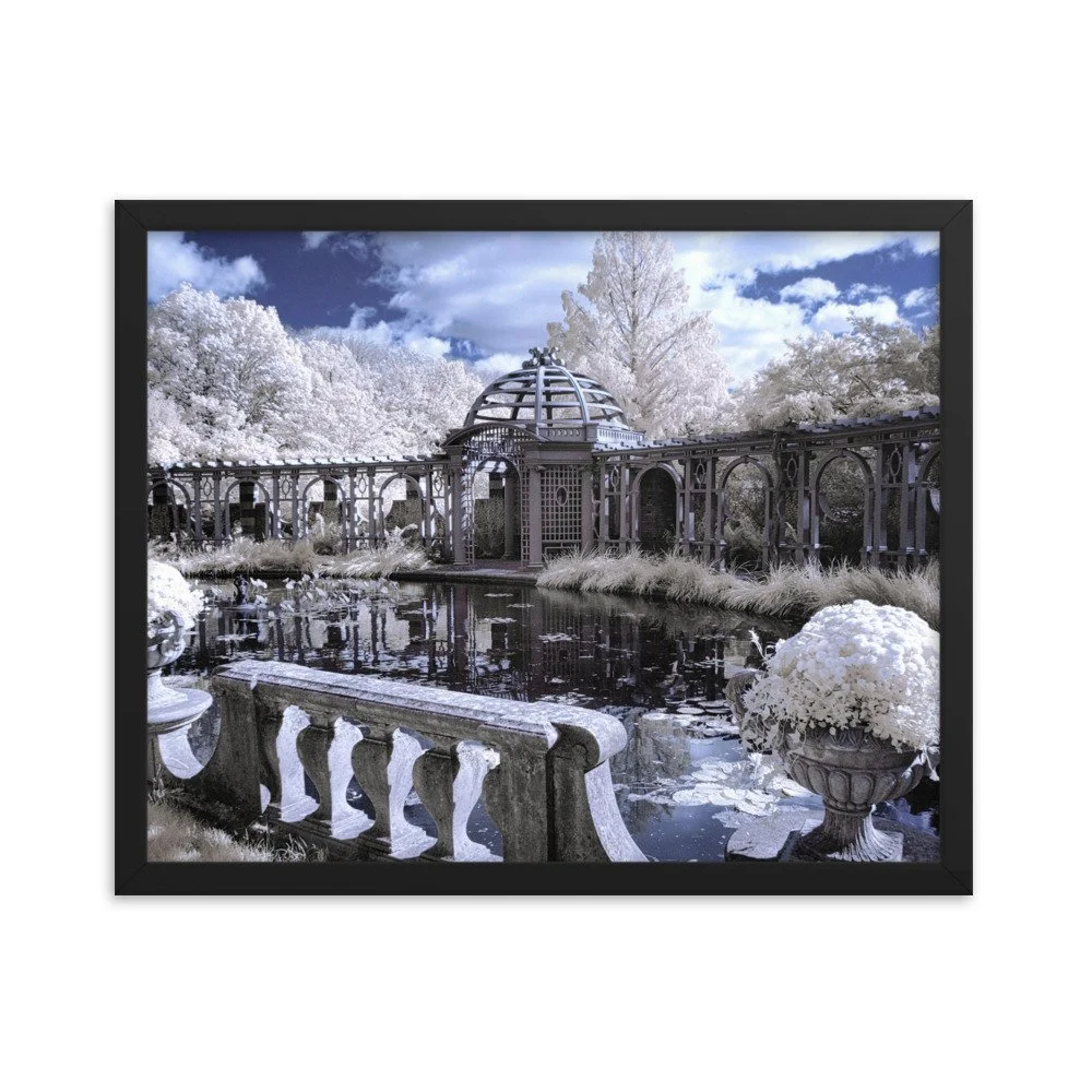 enhanced-matte-paper-framed-poster-(in)-black-16x20-transparent-643387aa7d2c8.jpg