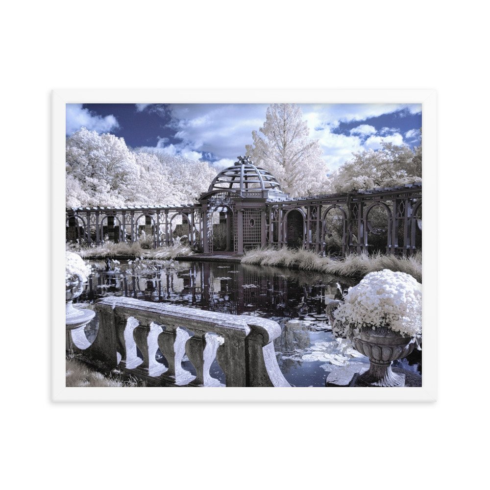 enhanced-matte-paper-framed-poster-(in)-white-16x20-transparent-643387aa7d3f5.jpg