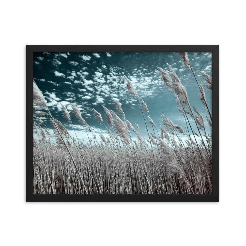enhanced-matte-paper-framed-poster-(in)-black-16x20-transparent-643495372829b.jpg