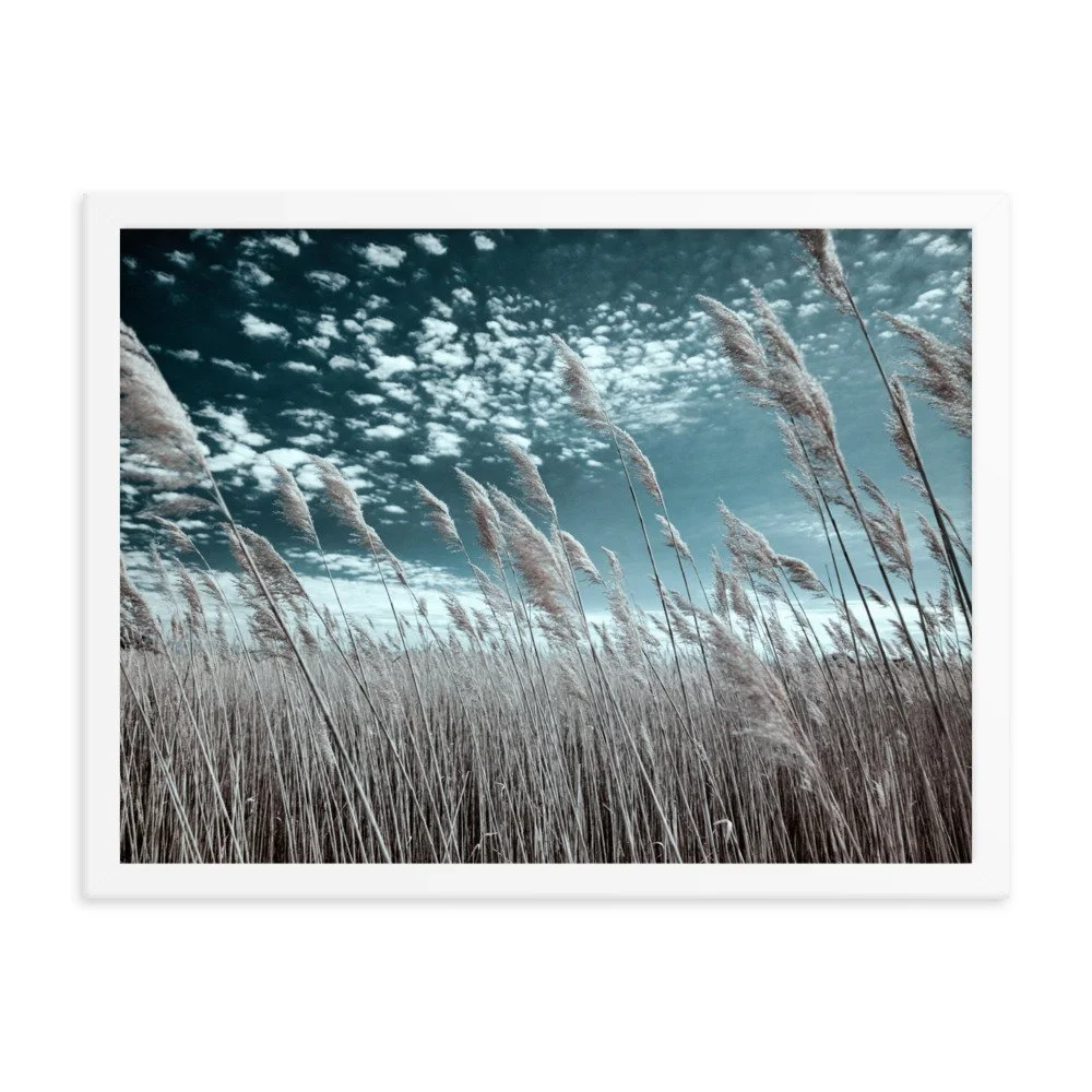 enhanced-matte-paper-framed-poster-(in)-white-18x24-transparent-6434953728496.jpg
