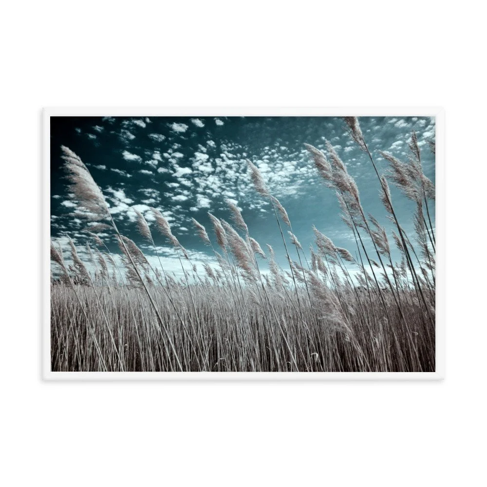 enhanced-matte-paper-framed-poster-(in)-white-24x36-transparent-6434953728526.jpg