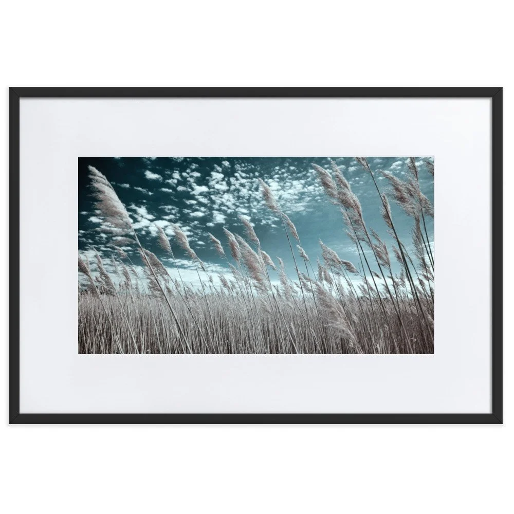 matte-paper-framed-poster-with-mat-(cm)-black-61x91-cm-transparent-6434c152dda42.jpg