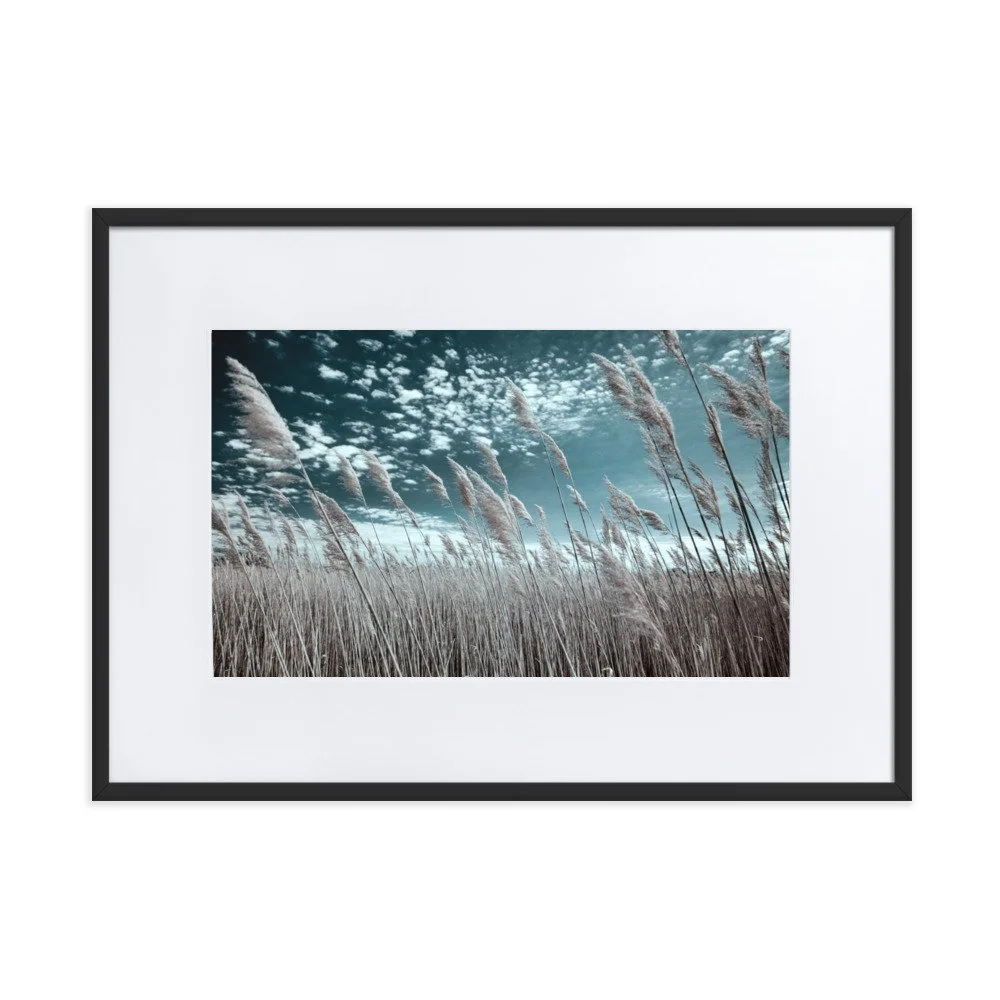 matte-paper-framed-poster-with-mat-(cm)-black-50x70-cm-transparent-6434c152de8d4.jpg