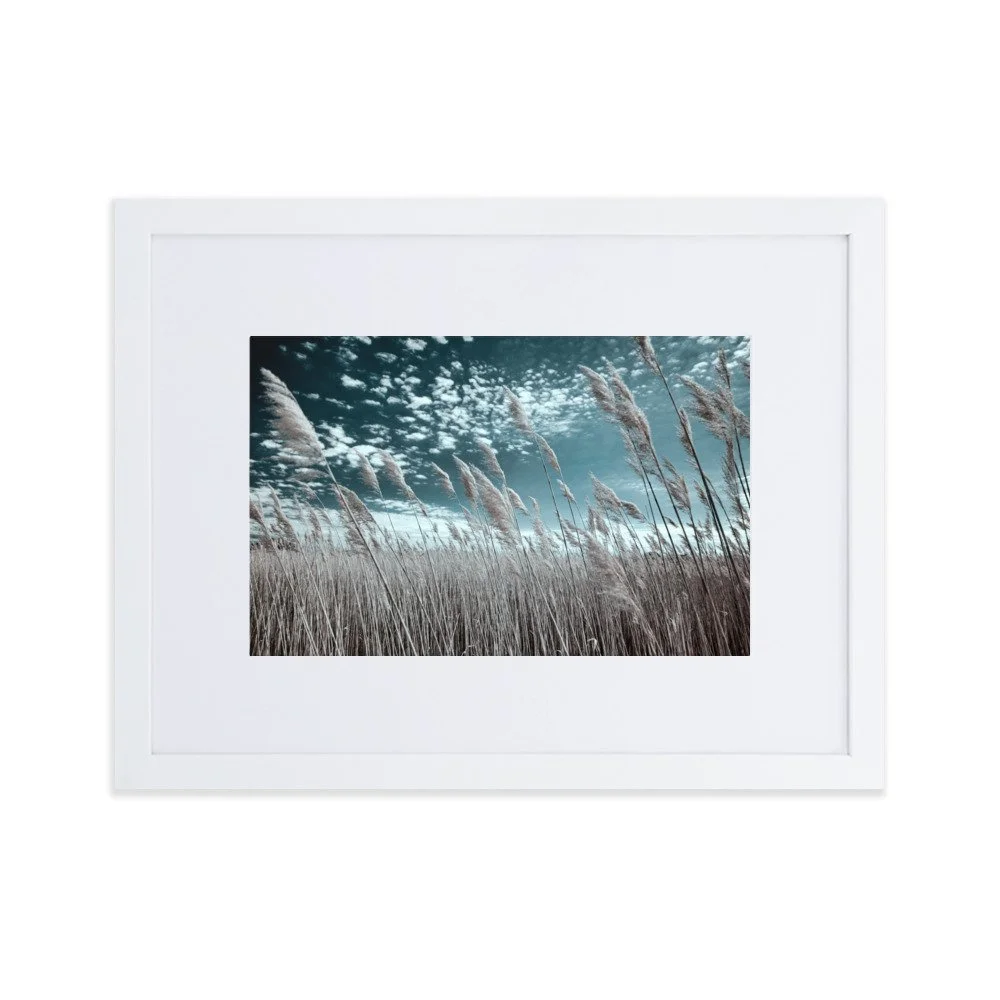 matte-paper-framed-poster-with-mat-(cm)-white-30x40-cm-transparent-6434c152de994.jpg