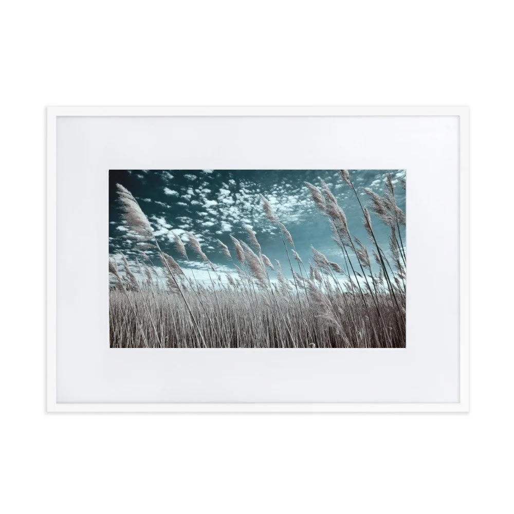 matte-paper-framed-poster-with-mat-(cm)-white-50x70-cm-transparent-6434c152dea24.jpg