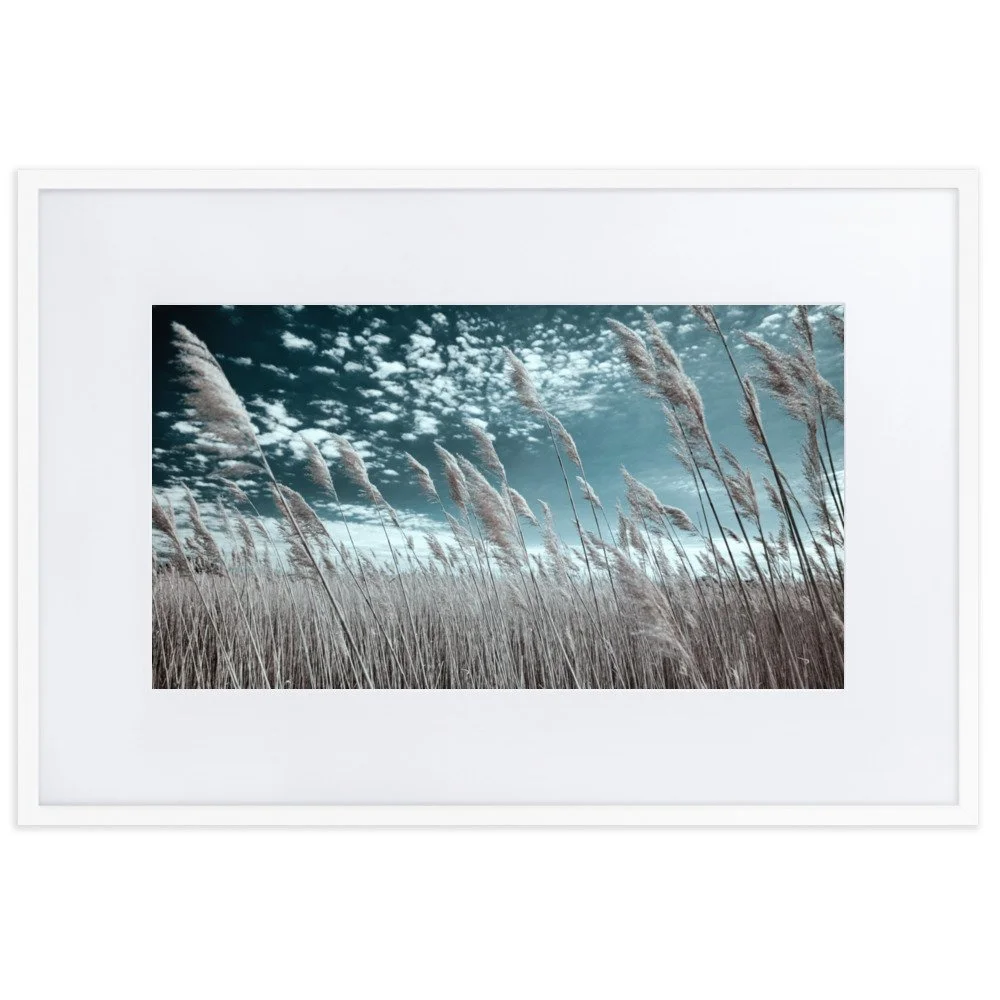matte-paper-framed-poster-with-mat-(cm)-white-61x91-cm-transparent-6434c152deaab.jpg