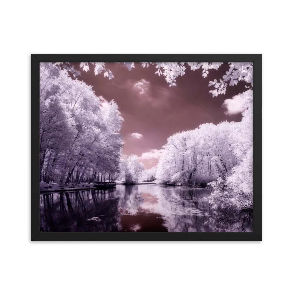 enhanced-matte-paper-framed-poster-(in)-black-16x20-transparent-6434d20c1eed4.jpg