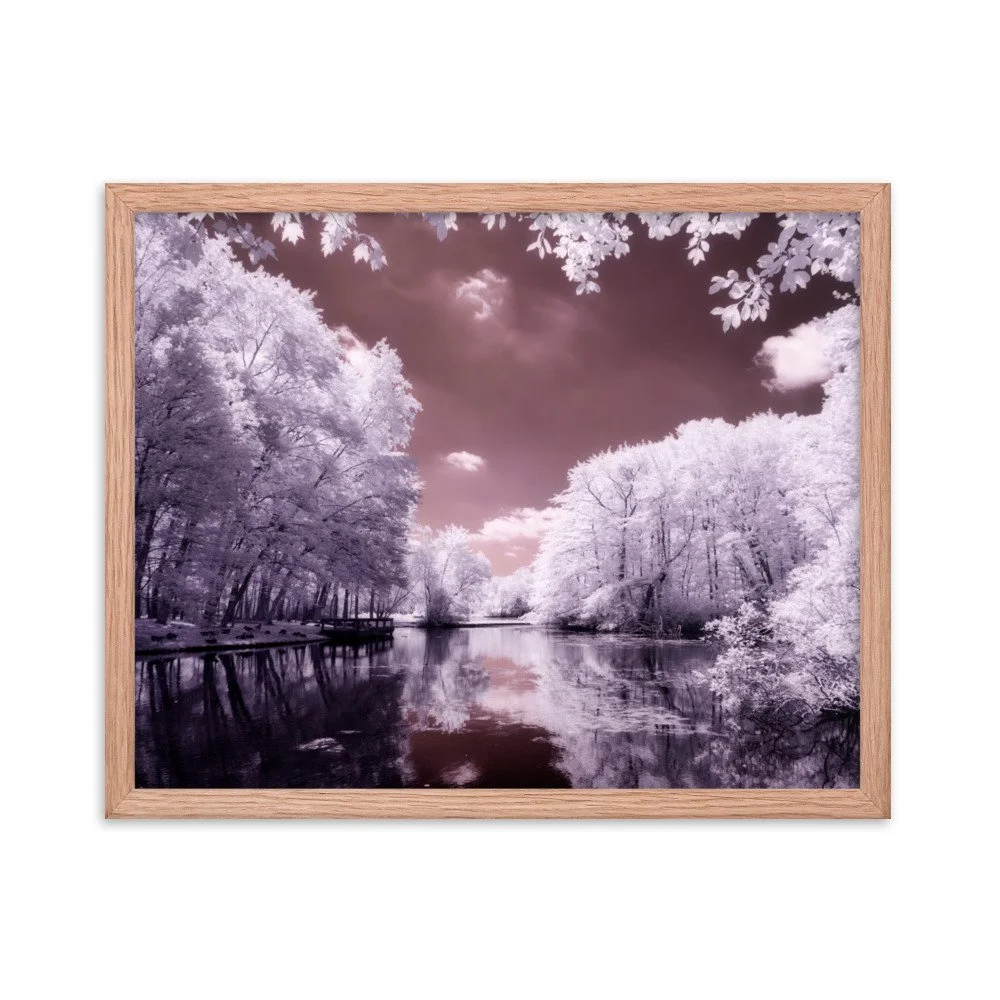enhanced-matte-paper-framed-poster-(in)-red-oak-16x20-transparent-6434d20c1f00a.jpg