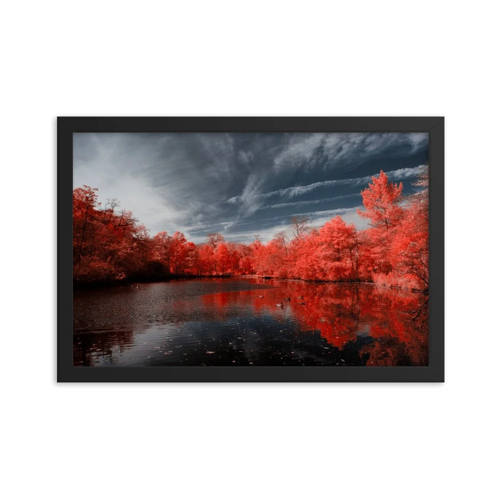 enhanced-matte-paper-framed-poster-(in)-black-12x18-transparent-643744aa09ee0.jpg