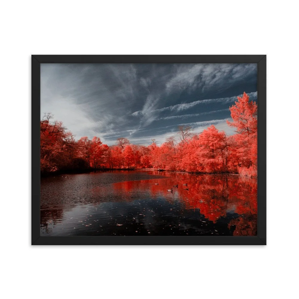 enhanced-matte-paper-framed-poster-(in)-black-16x20-transparent-643744aa09f5e.jpg