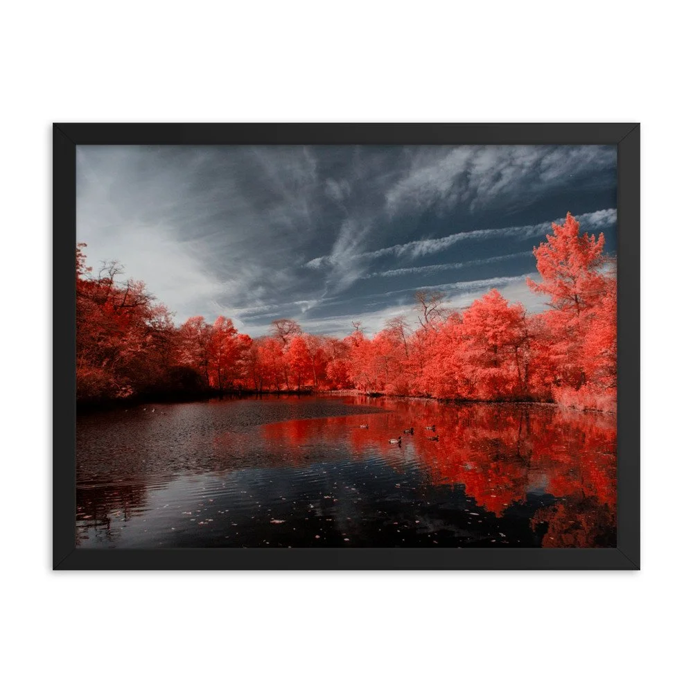 enhanced-matte-paper-framed-poster-(in)-black-18x24-transparent-643744aa09fb8.jpg
