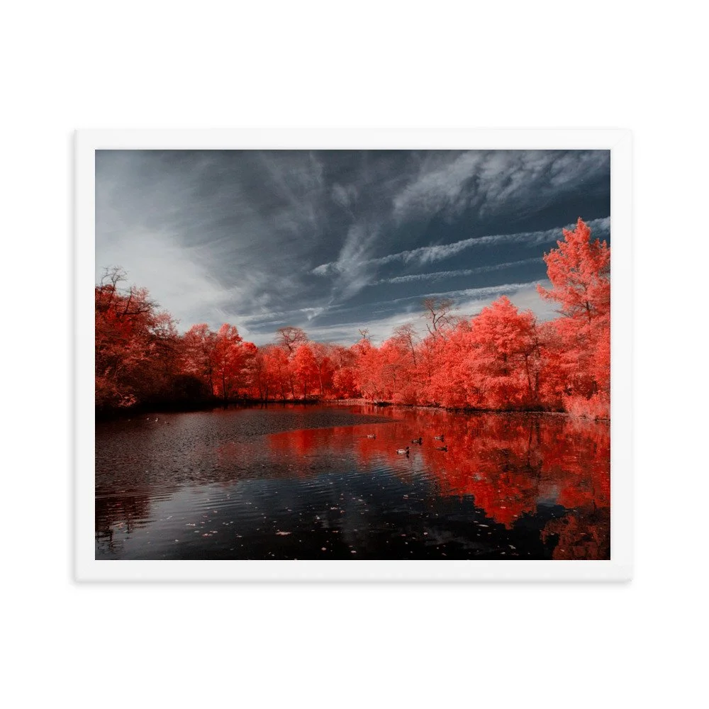 enhanced-matte-paper-framed-poster-(in)-white-16x20-transparent-643744aa0a08a.jpg