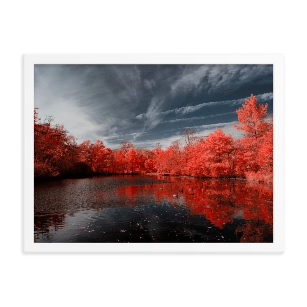 enhanced-matte-paper-framed-poster-(in)-white-18x24-transparent-643744aa0a0e3.jpg