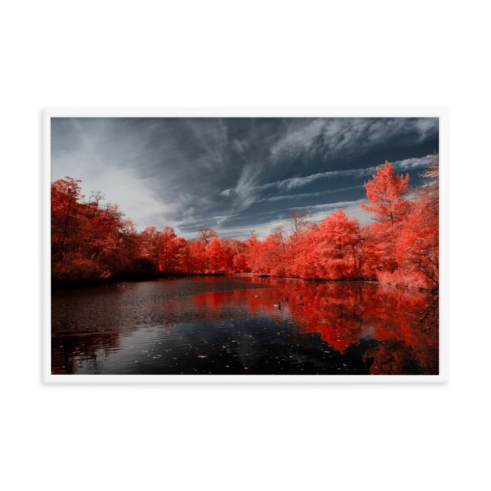 enhanced-matte-paper-framed-poster-(in)-white-24x36-transparent-643744aa0a134.jpg