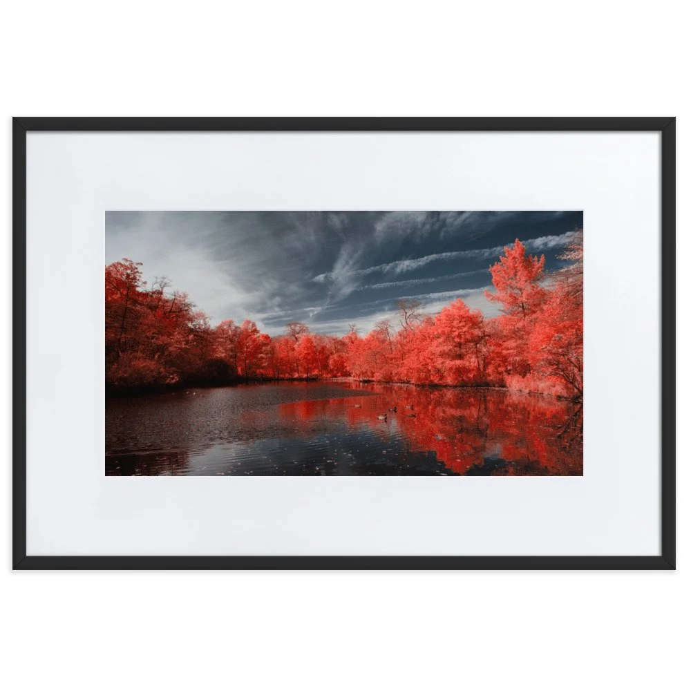 matte-paper-framed-poster-with-mat-(cm)-black-61x91-cm-transparent-6437459f8843a.jpg