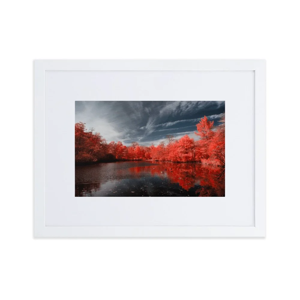 matte-paper-framed-poster-with-mat-(cm)-white-30x40-cm-transparent-6437459f89249.jpg