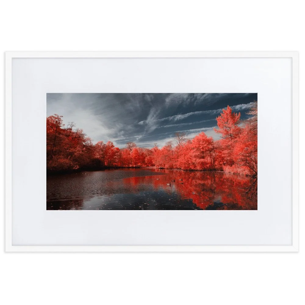 matte-paper-framed-poster-with-mat-(cm)-white-61x91-cm-transparent-6437459f89319.jpg