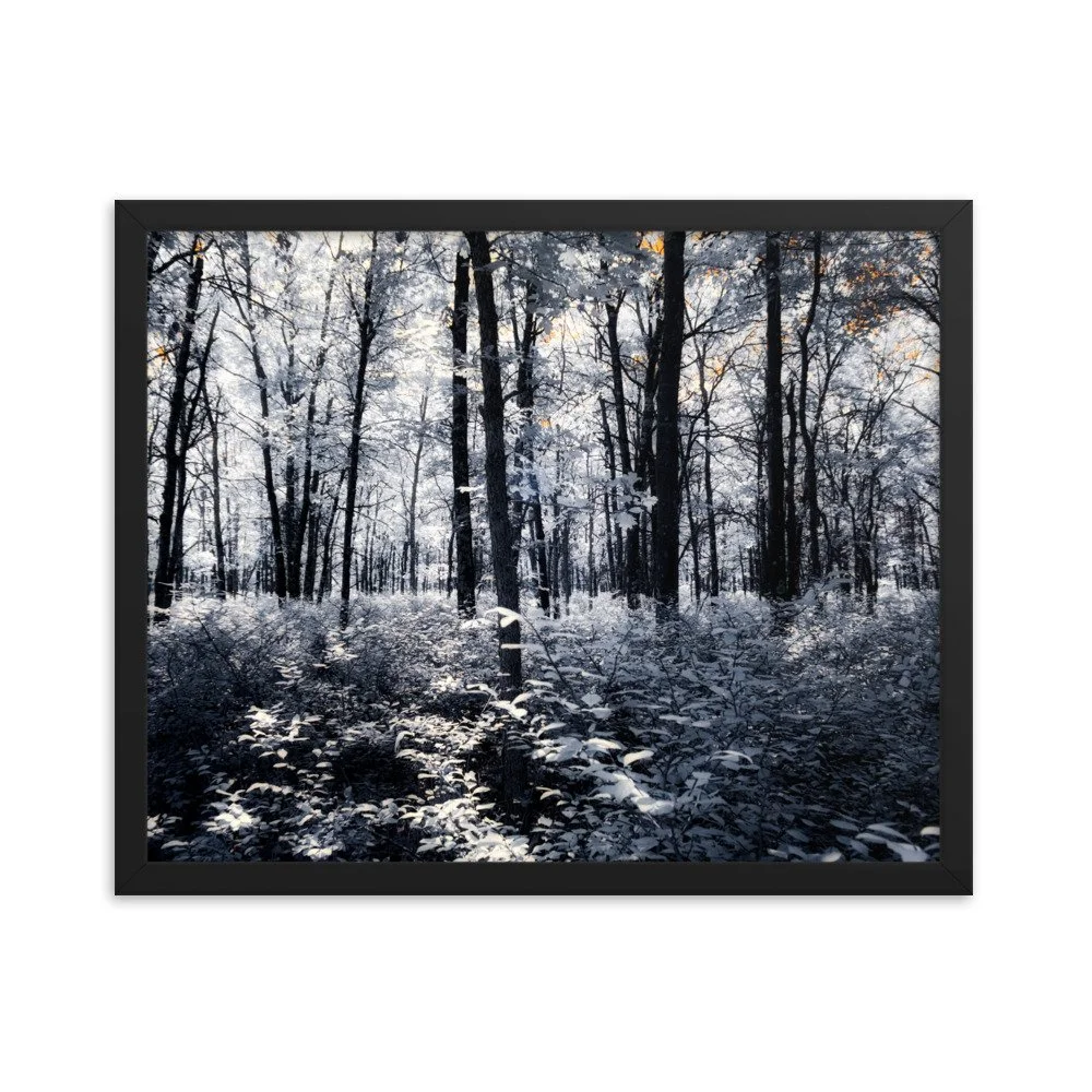 enhanced-matte-paper-framed-poster-(in)-black-16x20-transparent-64375341c541b.jpg