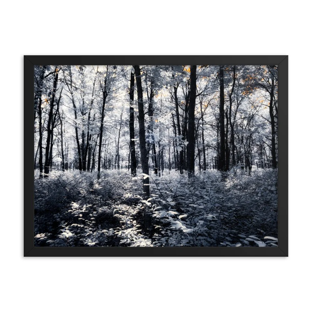 enhanced-matte-paper-framed-poster-(in)-black-18x24-transparent-64375341c54bc.jpg
