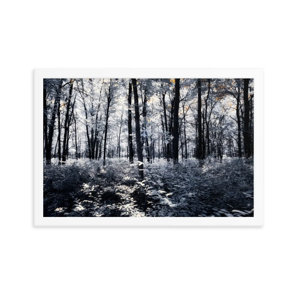 enhanced-matte-paper-framed-poster-(in)-white-12x18-transparent-64375341c5575.jpg