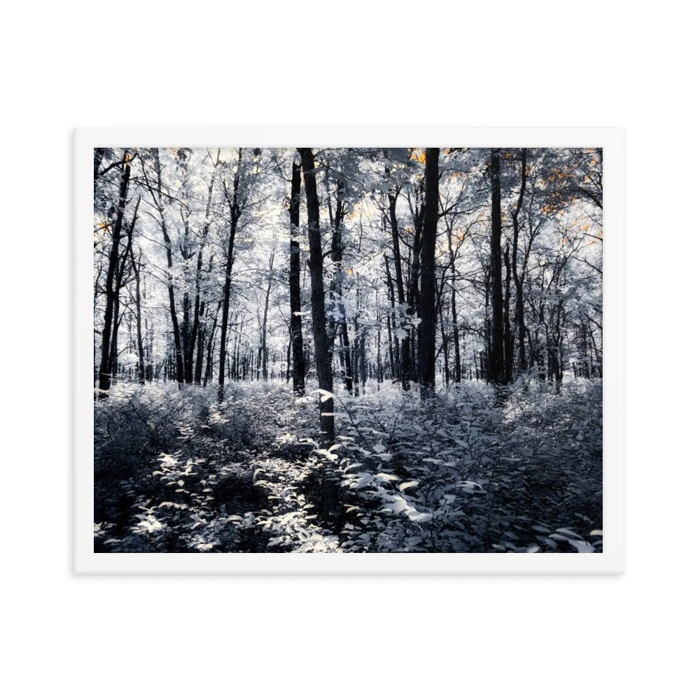 enhanced-matte-paper-framed-poster-(in)-white-16x20-transparent-64375341c55d1.jpg
