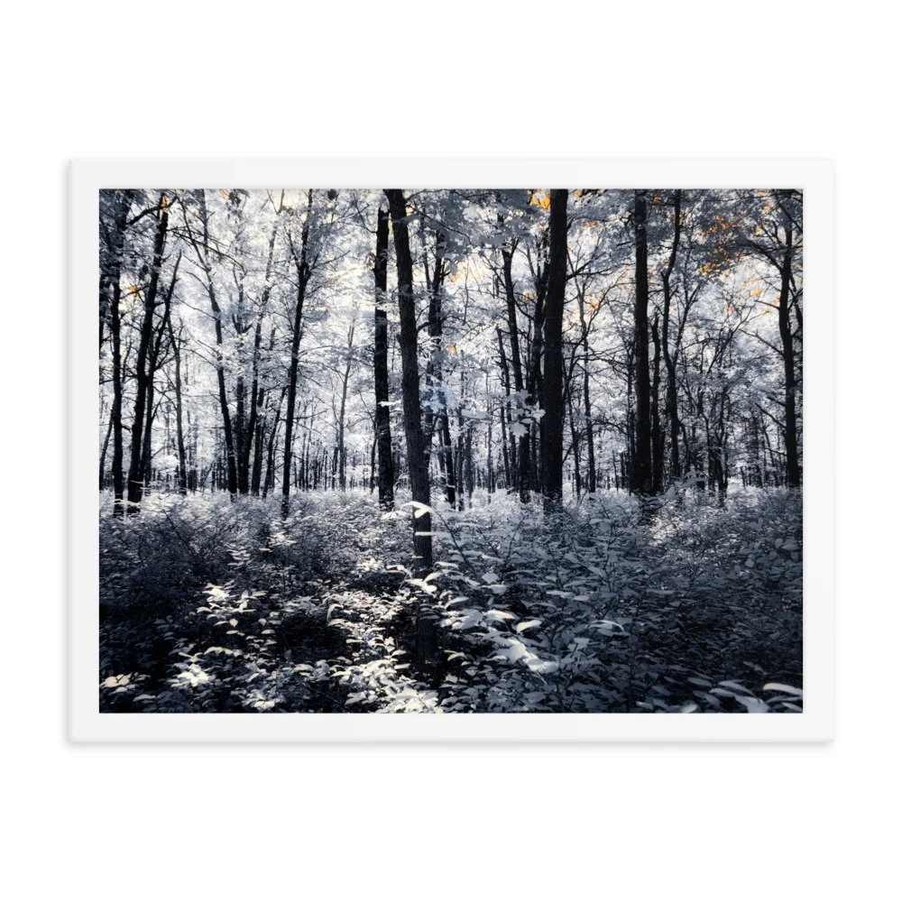 enhanced-matte-paper-framed-poster-(in)-white-18x24-transparent-64375341c562b.jpg