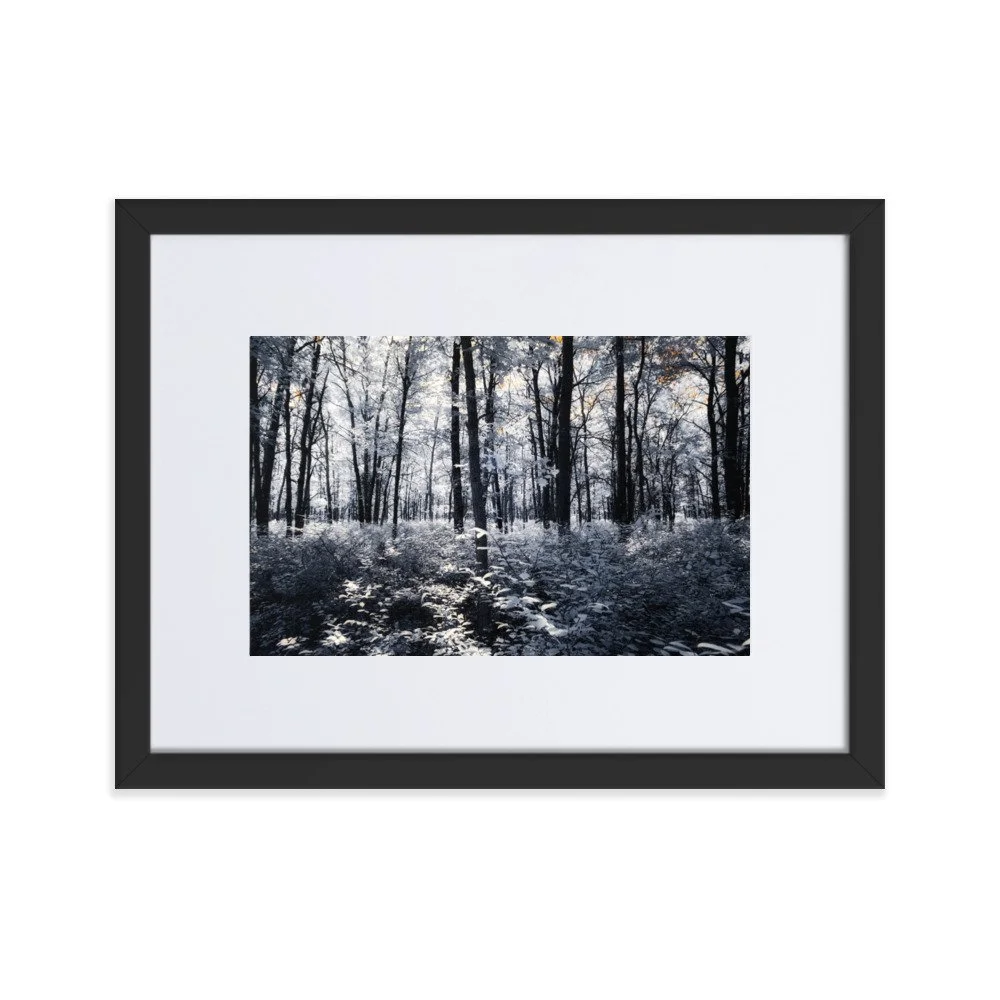 matte-paper-framed-poster-with-mat-(cm)-black-30x40-cm-transparent-6437583cc99a3.jpg