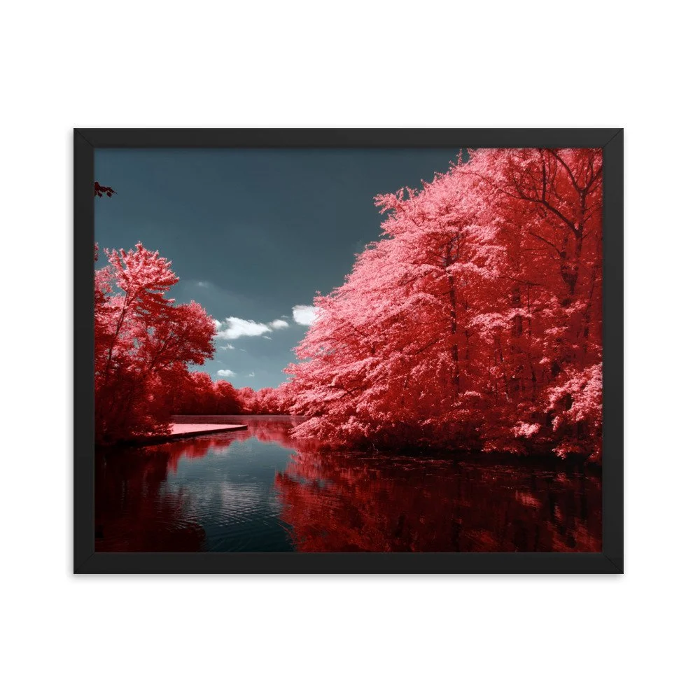 enhanced-matte-paper-framed-poster-(in)-black-16x20-transparent-6437601d60778.jpg